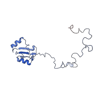 11096_6z6j_La_v1-0
Cryo-EM structure of yeast Lso2 bound to 80S ribosomes under native condition