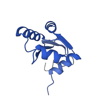11096_6z6j_Lc_v1-0
Cryo-EM structure of yeast Lso2 bound to 80S ribosomes under native condition