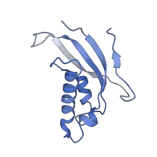 11096_6z6j_Ld_v1-0
Cryo-EM structure of yeast Lso2 bound to 80S ribosomes under native condition