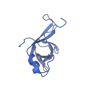 11096_6z6j_Lf_v1-0
Cryo-EM structure of yeast Lso2 bound to 80S ribosomes under native condition
