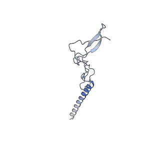11096_6z6j_Lg_v1-0
Cryo-EM structure of yeast Lso2 bound to 80S ribosomes under native condition