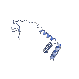 11096_6z6j_Li_v1-0
Cryo-EM structure of yeast Lso2 bound to 80S ribosomes under native condition