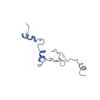 11096_6z6j_Lj_v1-0
Cryo-EM structure of yeast Lso2 bound to 80S ribosomes under native condition