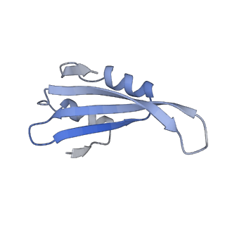 11096_6z6j_Lk_v1-0
Cryo-EM structure of yeast Lso2 bound to 80S ribosomes under native condition