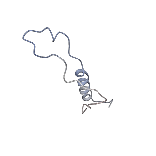 11096_6z6j_Ll_v1-0
Cryo-EM structure of yeast Lso2 bound to 80S ribosomes under native condition