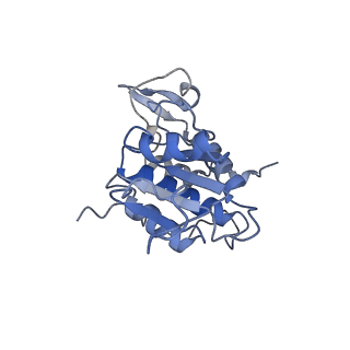 11096_6z6j_SA_v1-0
Cryo-EM structure of yeast Lso2 bound to 80S ribosomes under native condition