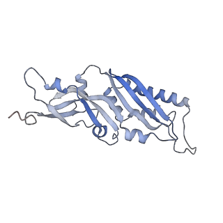 11096_6z6j_SB_v1-0
Cryo-EM structure of yeast Lso2 bound to 80S ribosomes under native condition