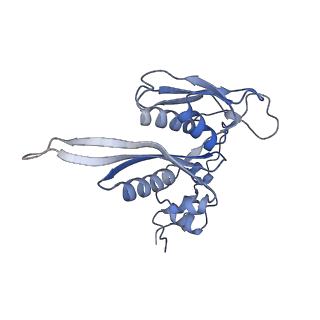 11096_6z6j_SC_v1-0
Cryo-EM structure of yeast Lso2 bound to 80S ribosomes under native condition