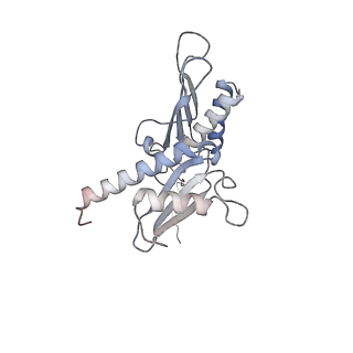11096_6z6j_SD_v1-0
Cryo-EM structure of yeast Lso2 bound to 80S ribosomes under native condition