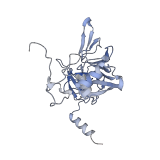 11096_6z6j_SE_v1-0
Cryo-EM structure of yeast Lso2 bound to 80S ribosomes under native condition