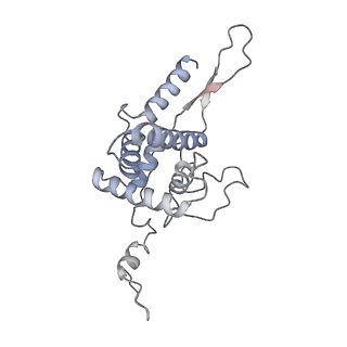 11096_6z6j_SF_v1-0
Cryo-EM structure of yeast Lso2 bound to 80S ribosomes under native condition