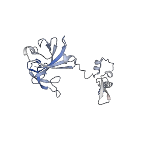 11096_6z6j_SG_v1-0
Cryo-EM structure of yeast Lso2 bound to 80S ribosomes under native condition