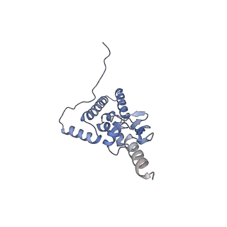 11096_6z6j_SJ_v1-0
Cryo-EM structure of yeast Lso2 bound to 80S ribosomes under native condition
