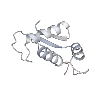 11096_6z6j_SK_v1-0
Cryo-EM structure of yeast Lso2 bound to 80S ribosomes under native condition