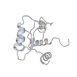 11096_6z6j_SM_v1-0
Cryo-EM structure of yeast Lso2 bound to 80S ribosomes under native condition