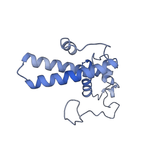 11096_6z6j_SN_v1-0
Cryo-EM structure of yeast Lso2 bound to 80S ribosomes under native condition