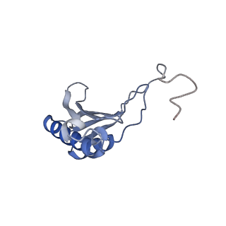 11096_6z6j_SO_v1-0
Cryo-EM structure of yeast Lso2 bound to 80S ribosomes under native condition