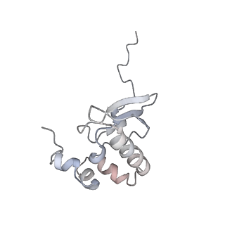 11096_6z6j_SP_v1-0
Cryo-EM structure of yeast Lso2 bound to 80S ribosomes under native condition