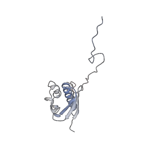 11096_6z6j_SQ_v1-0
Cryo-EM structure of yeast Lso2 bound to 80S ribosomes under native condition