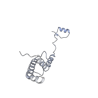 11096_6z6j_SR_v1-0
Cryo-EM structure of yeast Lso2 bound to 80S ribosomes under native condition