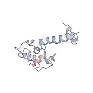 11096_6z6j_SS_v1-0
Cryo-EM structure of yeast Lso2 bound to 80S ribosomes under native condition