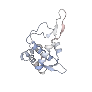 11096_6z6j_ST_v1-0
Cryo-EM structure of yeast Lso2 bound to 80S ribosomes under native condition
