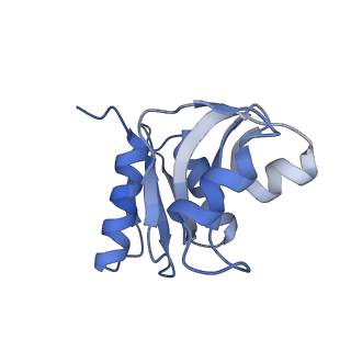11096_6z6j_SW_v1-0
Cryo-EM structure of yeast Lso2 bound to 80S ribosomes under native condition