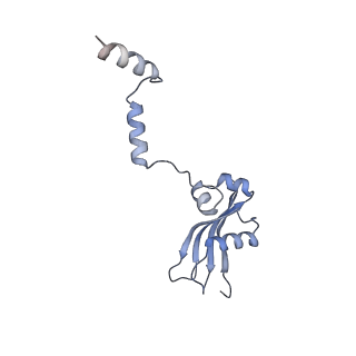 11096_6z6j_SY_v1-0
Cryo-EM structure of yeast Lso2 bound to 80S ribosomes under native condition