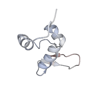 11096_6z6j_SZ_v1-0
Cryo-EM structure of yeast Lso2 bound to 80S ribosomes under native condition