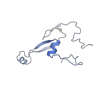 11096_6z6j_Sa_v1-0
Cryo-EM structure of yeast Lso2 bound to 80S ribosomes under native condition