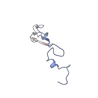 11096_6z6j_Sb_v1-0
Cryo-EM structure of yeast Lso2 bound to 80S ribosomes under native condition