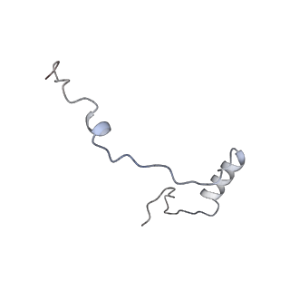 11096_6z6j_Se_v1-0
Cryo-EM structure of yeast Lso2 bound to 80S ribosomes under native condition