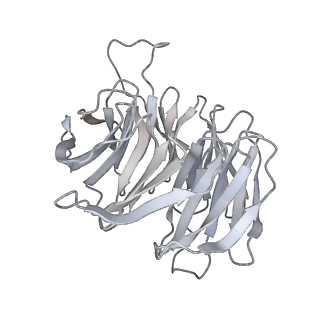 11096_6z6j_Sg_v1-0
Cryo-EM structure of yeast Lso2 bound to 80S ribosomes under native condition