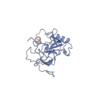 11097_6z6k_LA_v1-0
Cryo-EM structure of yeast reconstituted Lso2 bound to 80S ribosomes