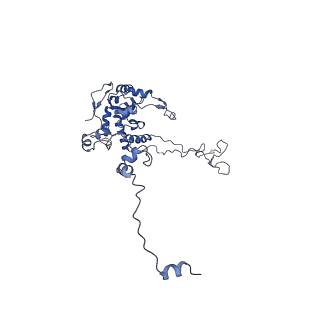 11097_6z6k_LC_v1-0
Cryo-EM structure of yeast reconstituted Lso2 bound to 80S ribosomes