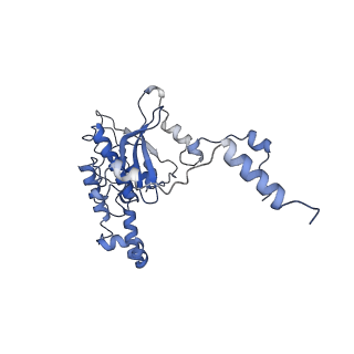 11097_6z6k_LD_v1-0
Cryo-EM structure of yeast reconstituted Lso2 bound to 80S ribosomes