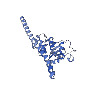11097_6z6k_LF_v1-0
Cryo-EM structure of yeast reconstituted Lso2 bound to 80S ribosomes