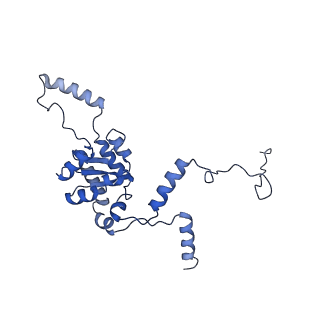 11097_6z6k_LG_v1-0
Cryo-EM structure of yeast reconstituted Lso2 bound to 80S ribosomes