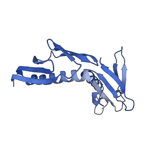 11097_6z6k_LH_v1-0
Cryo-EM structure of yeast reconstituted Lso2 bound to 80S ribosomes