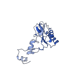 11097_6z6k_LI_v1-0
Cryo-EM structure of yeast reconstituted Lso2 bound to 80S ribosomes