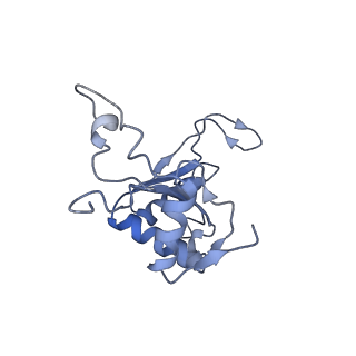 11097_6z6k_LJ_v1-0
Cryo-EM structure of yeast reconstituted Lso2 bound to 80S ribosomes