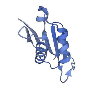 11097_6z6k_LU_v1-0
Cryo-EM structure of yeast reconstituted Lso2 bound to 80S ribosomes