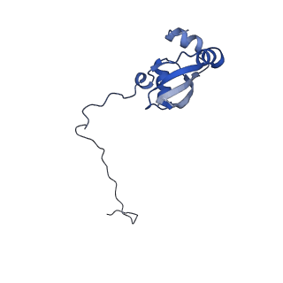 11097_6z6k_LX_v1-0
Cryo-EM structure of yeast reconstituted Lso2 bound to 80S ribosomes