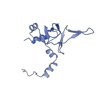 11097_6z6k_LY_v1-0
Cryo-EM structure of yeast reconstituted Lso2 bound to 80S ribosomes