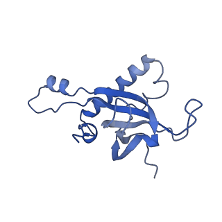 11097_6z6k_LZ_v1-0
Cryo-EM structure of yeast reconstituted Lso2 bound to 80S ribosomes