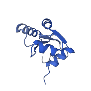 11097_6z6k_Lc_v1-0
Cryo-EM structure of yeast reconstituted Lso2 bound to 80S ribosomes