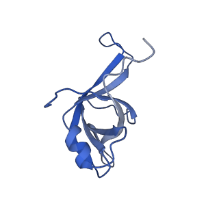 11097_6z6k_Lf_v1-0
Cryo-EM structure of yeast reconstituted Lso2 bound to 80S ribosomes