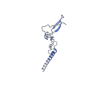 11097_6z6k_Lg_v1-0
Cryo-EM structure of yeast reconstituted Lso2 bound to 80S ribosomes