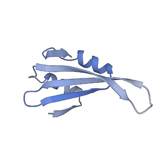 11097_6z6k_Lk_v1-0
Cryo-EM structure of yeast reconstituted Lso2 bound to 80S ribosomes