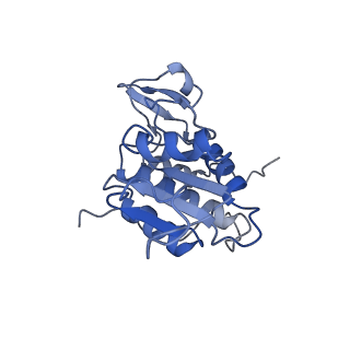 11097_6z6k_SA_v1-0
Cryo-EM structure of yeast reconstituted Lso2 bound to 80S ribosomes